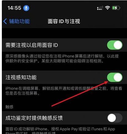 龙门镇苹果14维修网点分享iPhone14注视感知功能有什么用 